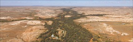 Wonaminta Station - NSW (PBH4 00 9162)